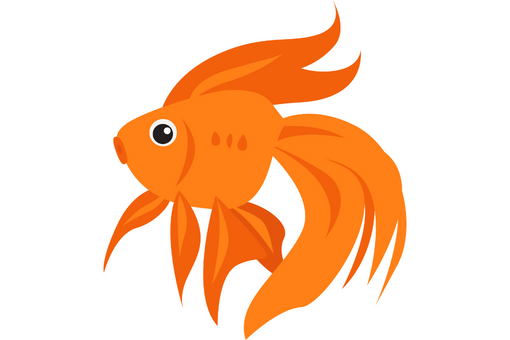 Fish is one of the most popular pet in the world