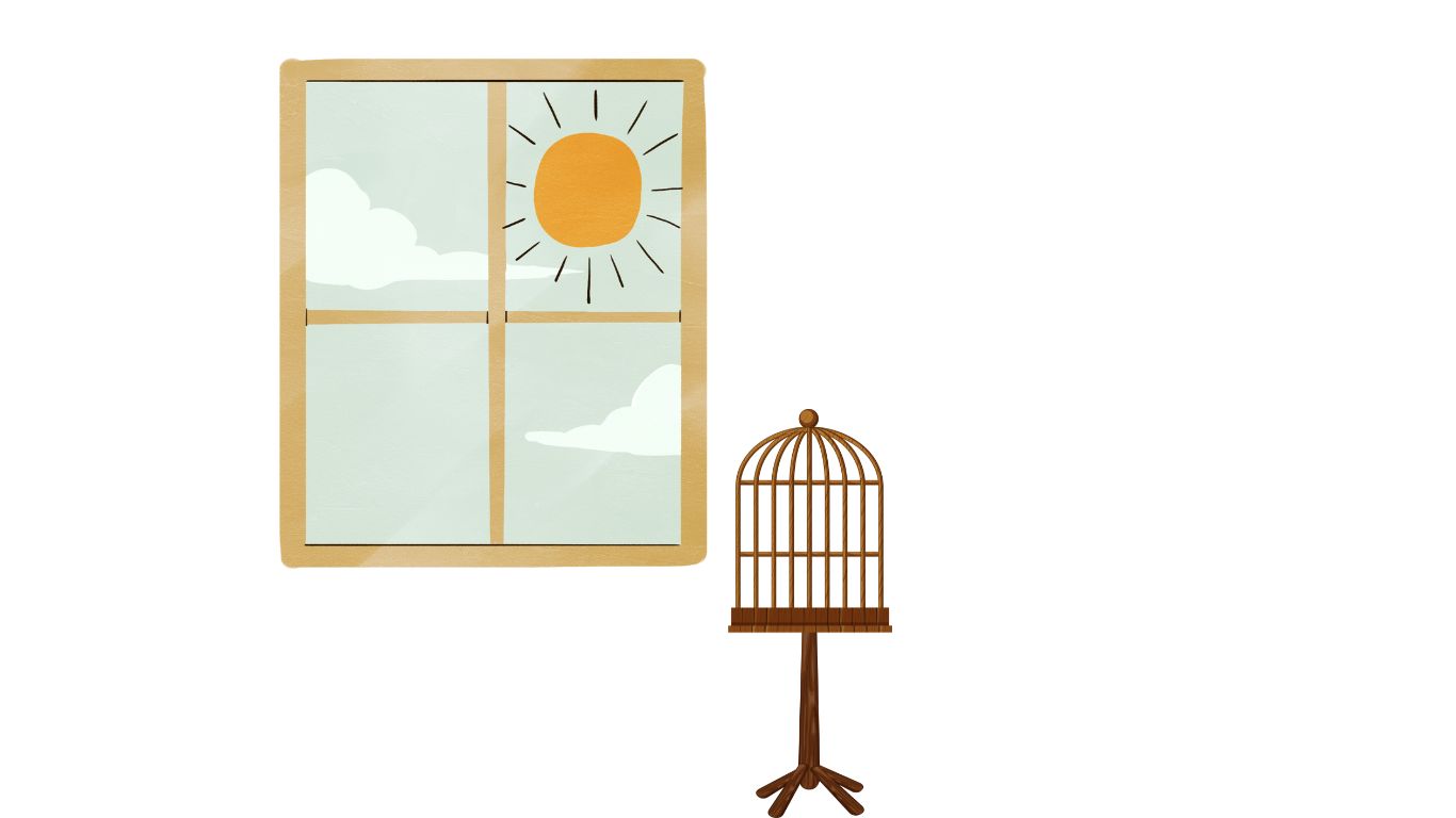 A cage near a window