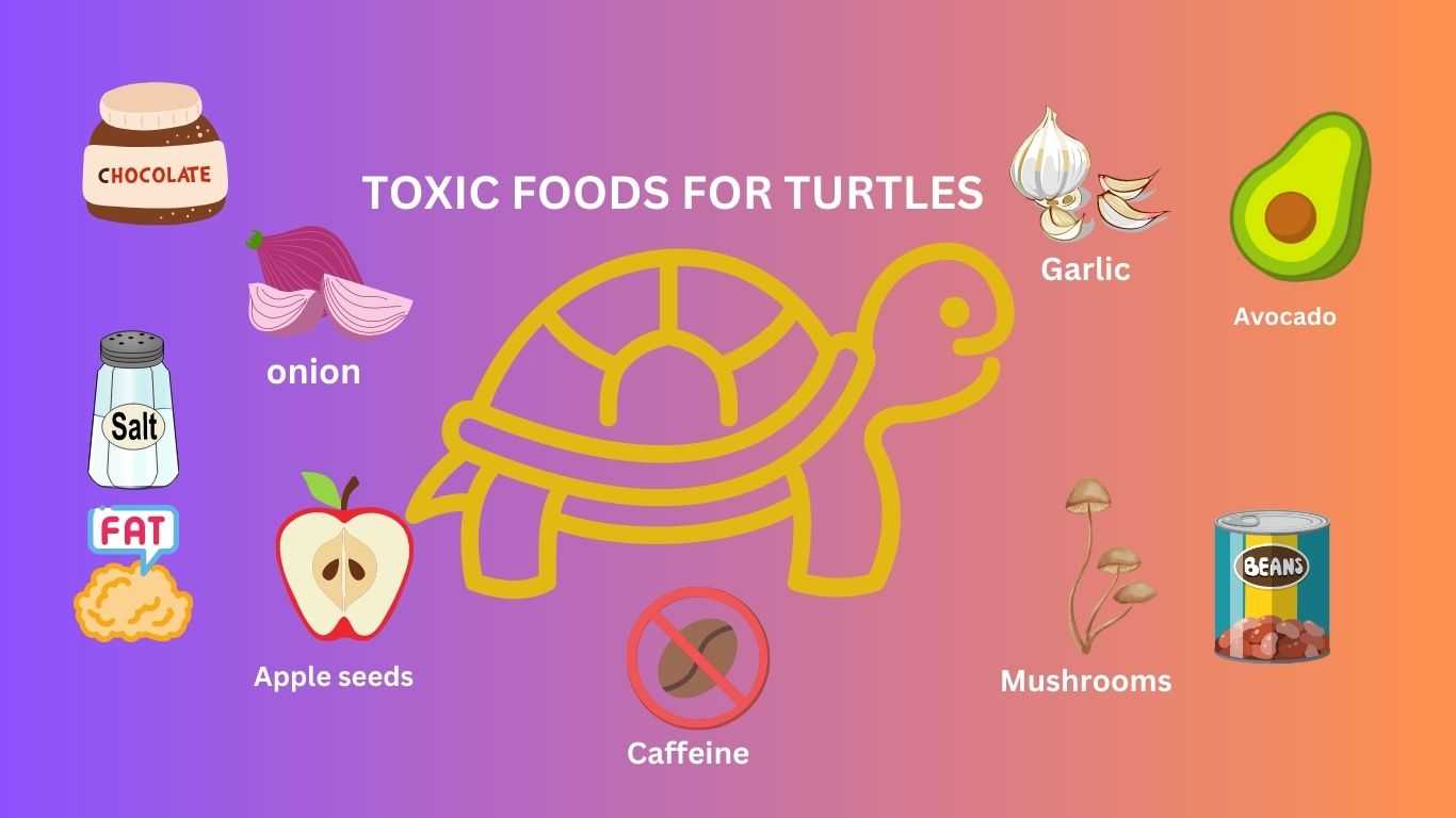 what foods are poisonous to turtles, what foods are toxic to turtles, poisonous food items for turtles, toxic foods for turtles
