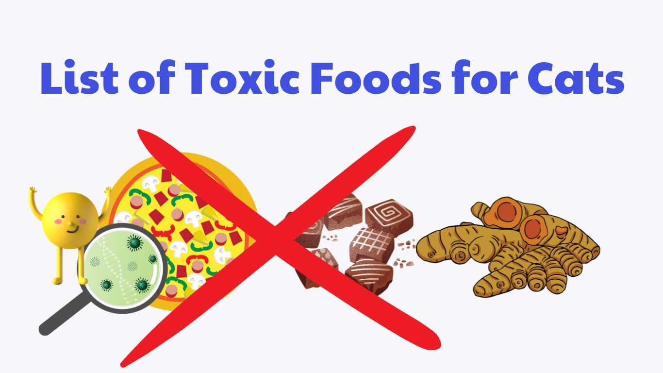List of toxic foods for cats
