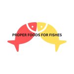 List of the proper foods for fish
