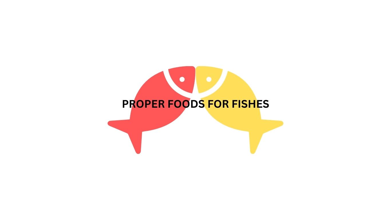 Proper foods for fish, what can fish eat