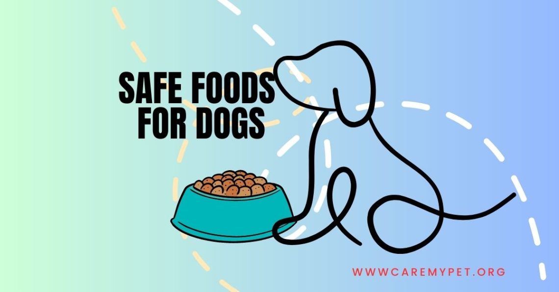 Safe foods for dogs, best human food for dogs