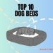 10 Best dog beds