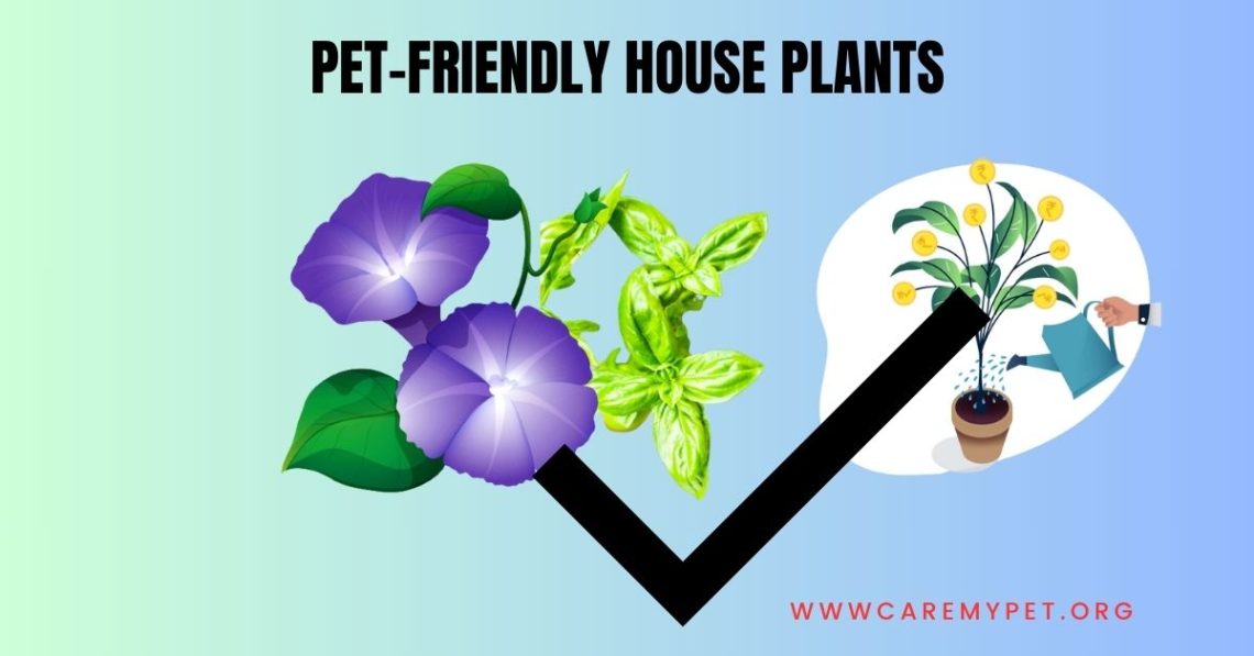 pet safe house plants
