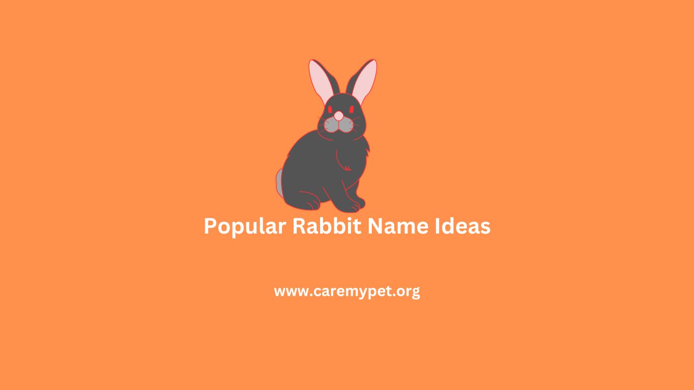 Cute rabbit names