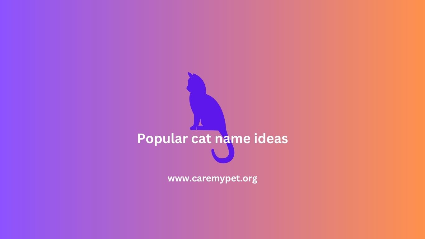Most popular cat names