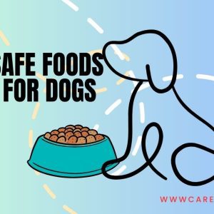 Safe foods for dogs, best human food for dogs