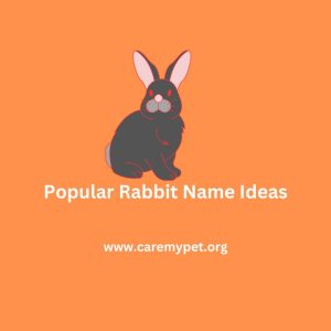 Cute rabbit names