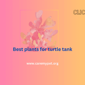 Best plants for turtle tank