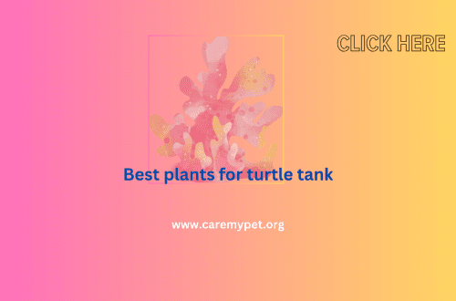 Best plants for turtle tank
