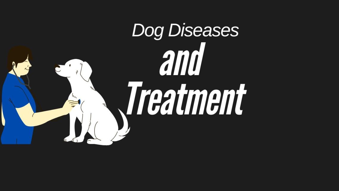 Common dog diseases and treatments